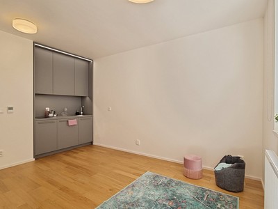 Pronájem bytu 1+kk 24 m²