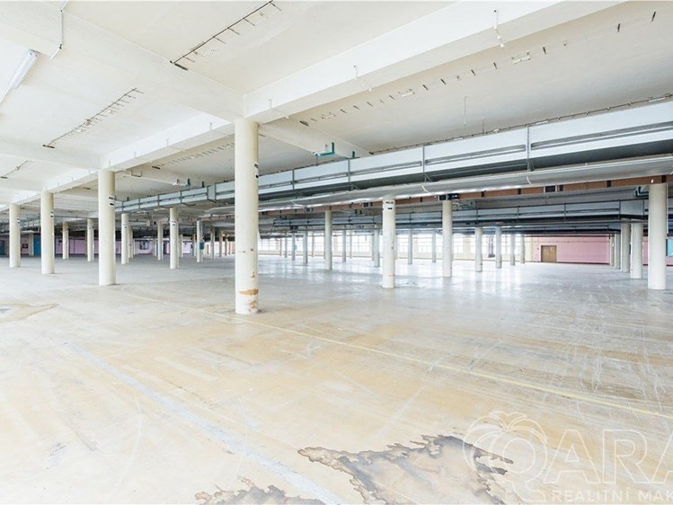 Pronájem komerčního prostoru, 4 000 m² (2 z 15)