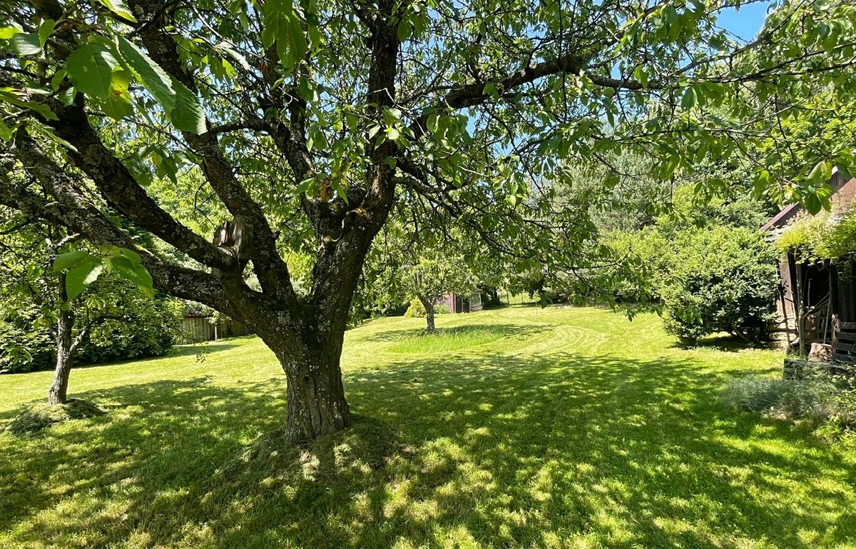 Prodej rodinného domu 120 m², pozemek 1559 m² – fotografie 3