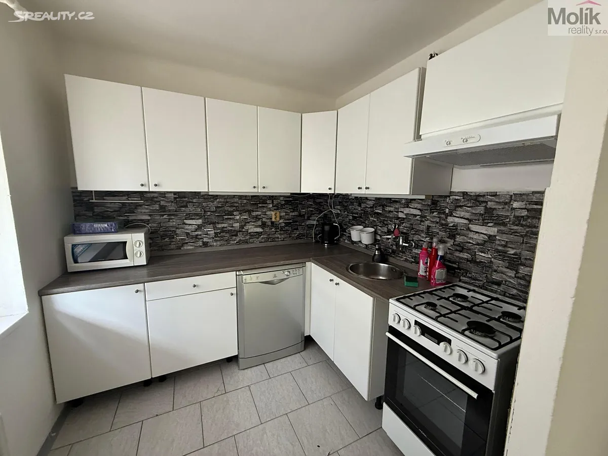 Pronájem bytu 3+1 60 m² - View 3