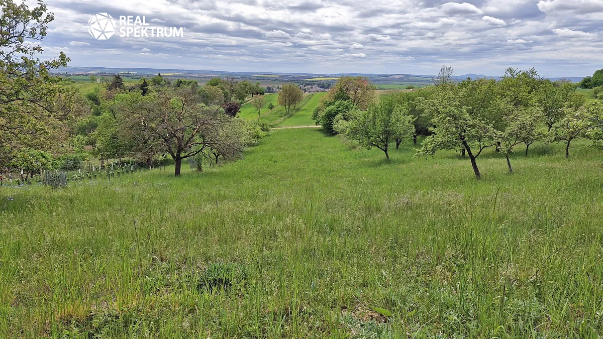 Prodej chaty 10 m², pozemek 3069 m²