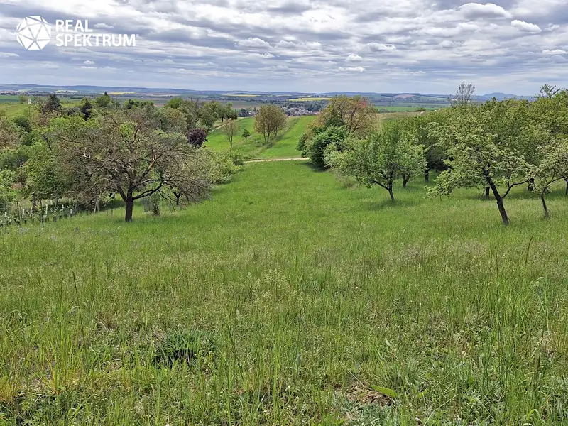Prodej chaty 10 m², pozemek 3069 m², Sivice – náhled fotky 1