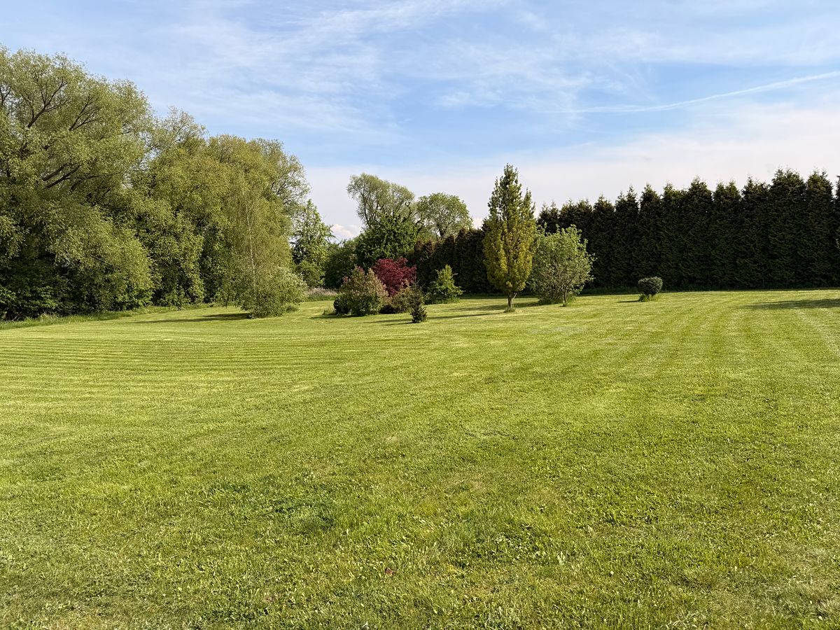 Prodej stavebního pozemku 1245 m² – fotografie 4