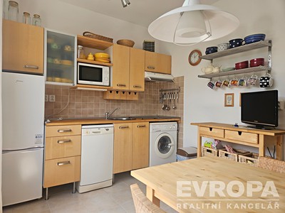 Pronájem bytu 1+1 47 m²