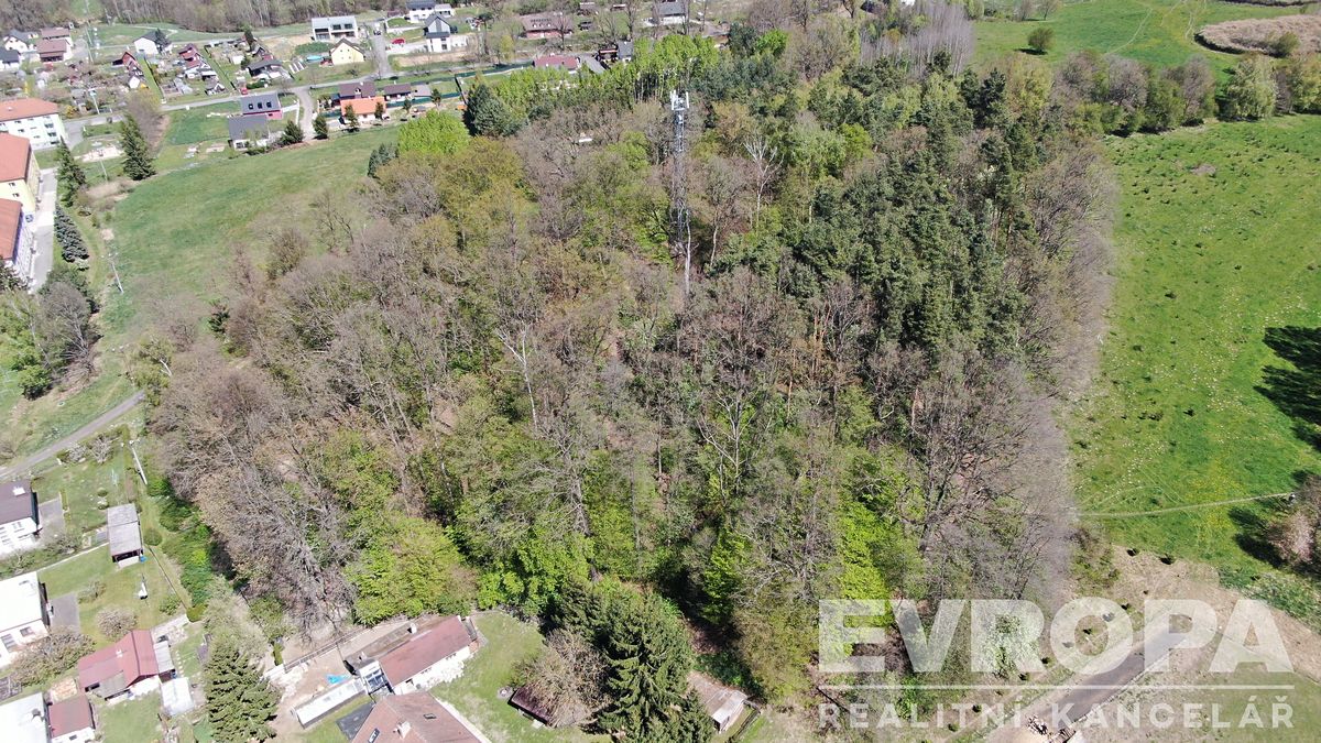 Prodej lesa 8140 m² – fotografie 2