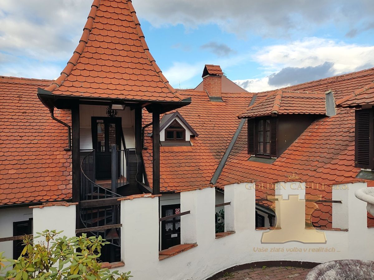 Prodej památky 350 m², pozemek 393 m² – fotografie 3