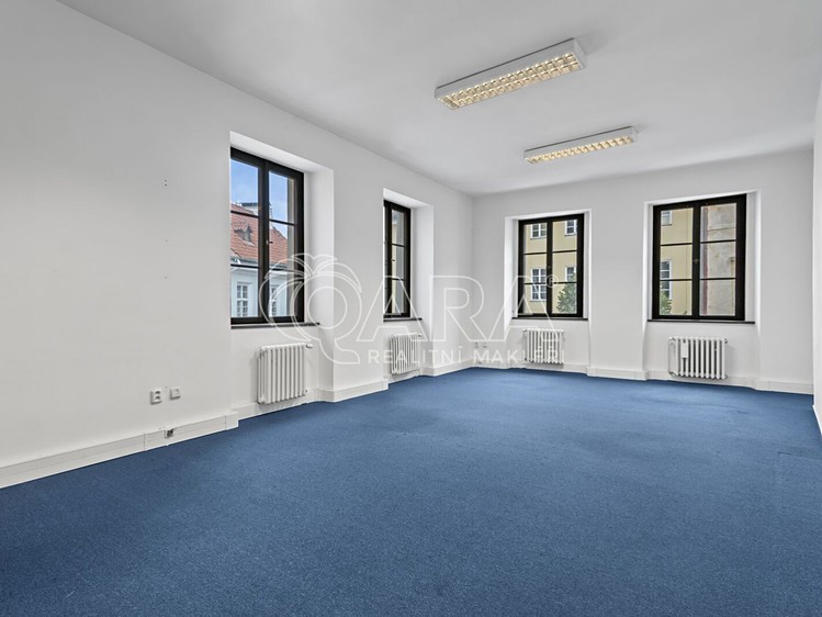 Gewerbefläche zur Miete, 226 m² (2 von 11)