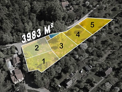 Prodej pozemku, 3 983 m² (3 z 9)