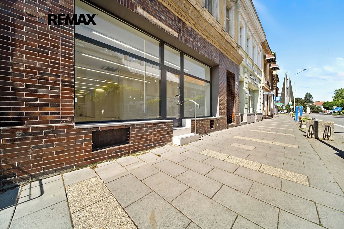Prodej rodinného domu 340 m², pozemek 233 m² – fotografie 5