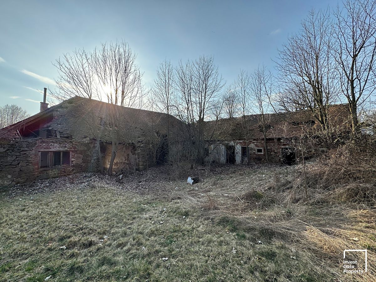 Prodej rodinného domu 500 m², pozemek 1007 m² – fotografie 4