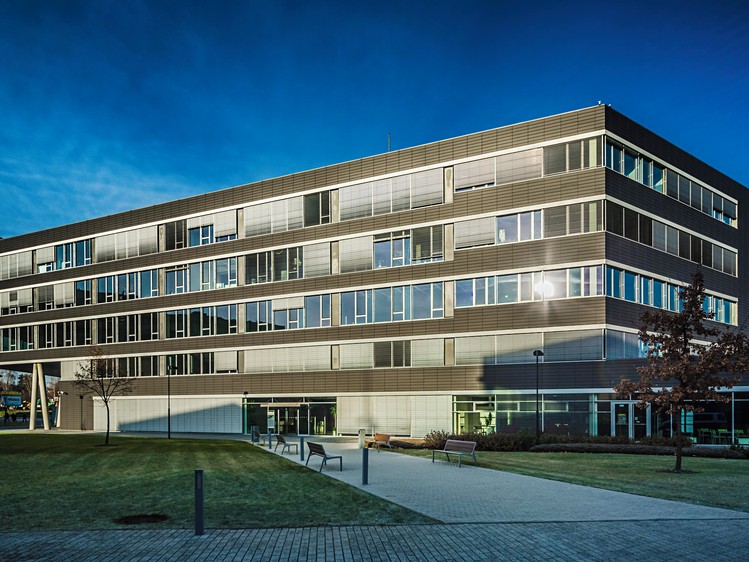Комерційне приміщення в оренду, 600 м² (8 з 11)