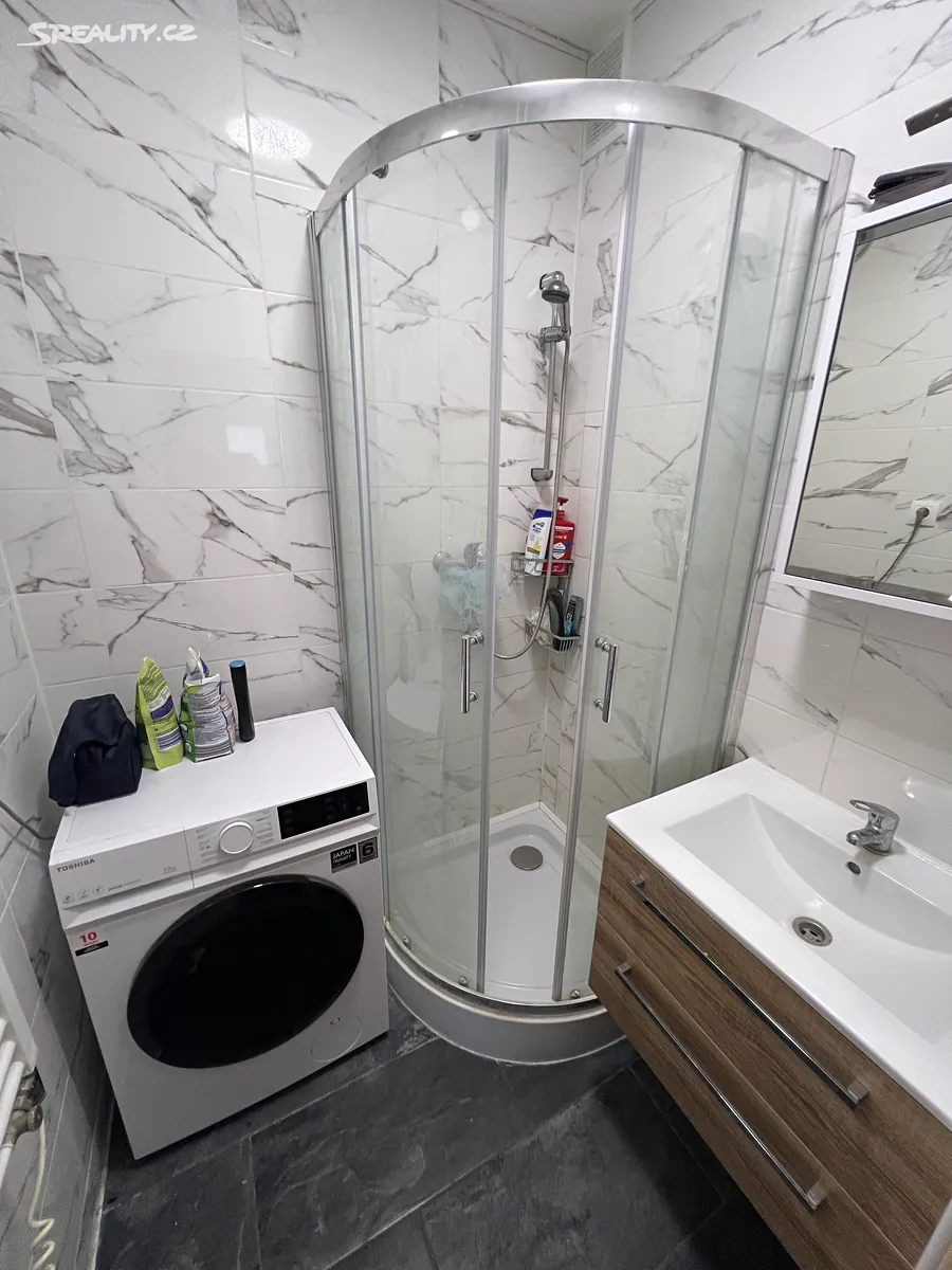 Pronájem bytu 3+1 85 m² – další