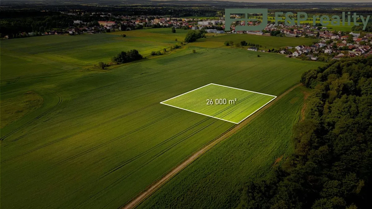 Prodej pole 26000 m²
