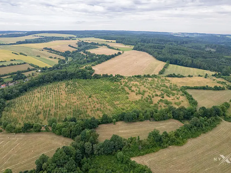 Prodej sadu, vinice 123793 m², Zbraslavice – náhled fotky 2