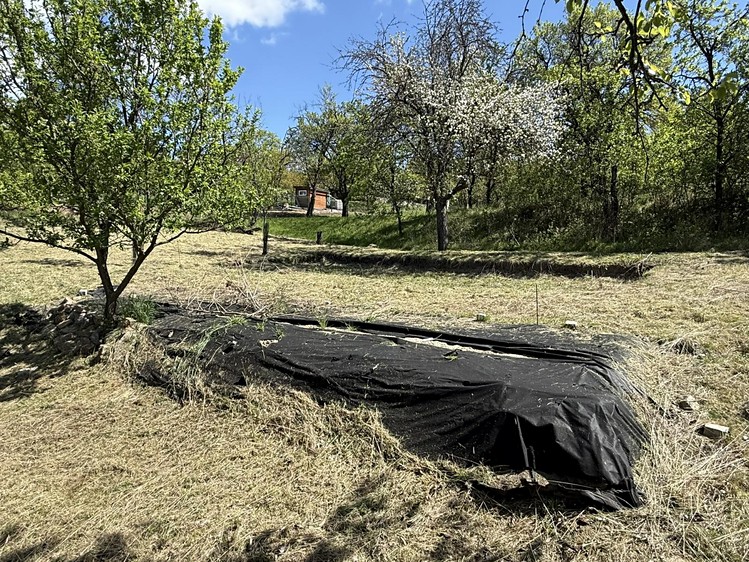 Grundstück zum Kauf, 539 m² (6 von 10)