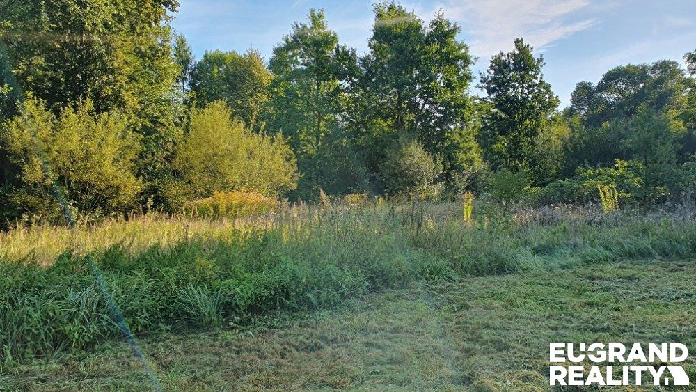 Prodej stavebního pozemku 2930 m² – fotografie 3