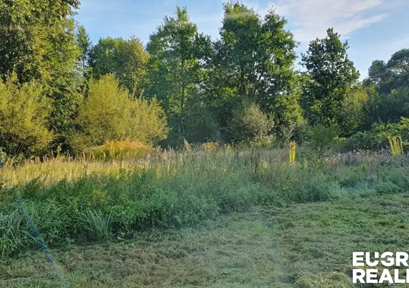 Prodej stavebního pozemku 2930 m², Jiříkov – náhled fotky 3
