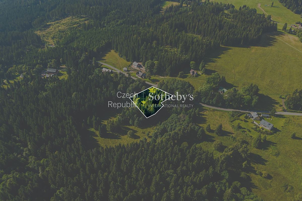 Prodej stavebního pozemku 2976 m² – fotografie 3