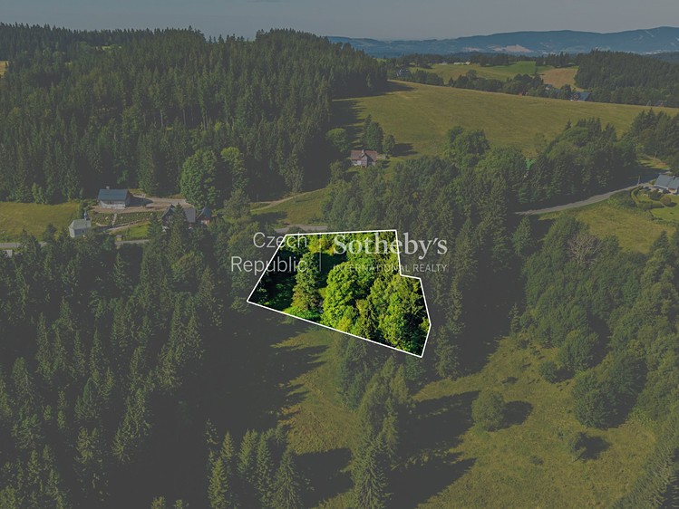 Prodej pozemku, 2 976 m² (5 z 20)