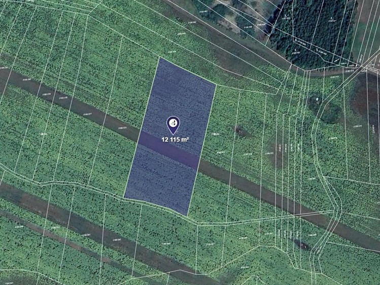 Prodej pozemku, 3 029 m² (1 z 3)