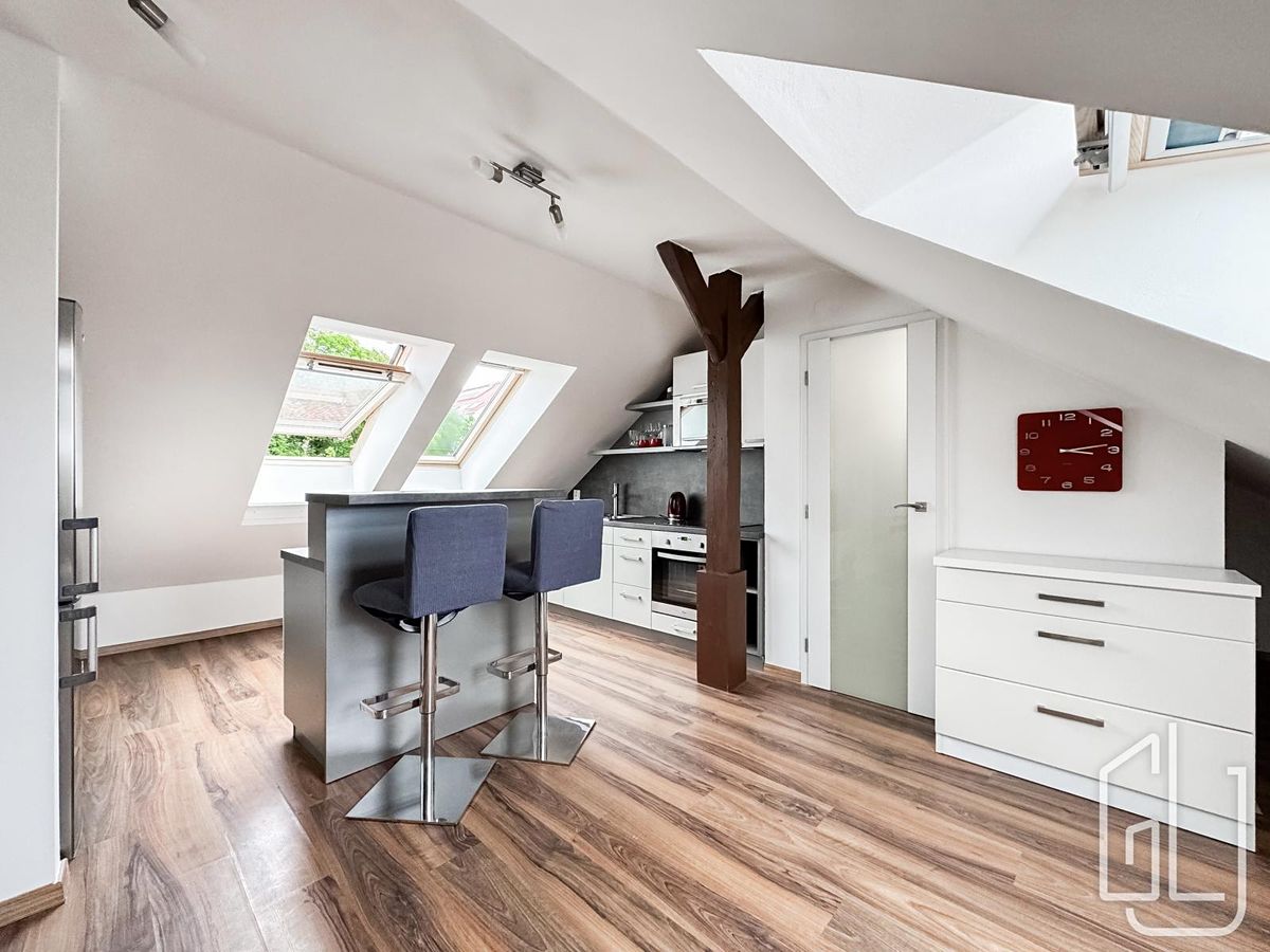 Pronájem bytu 2+kk 47 m²