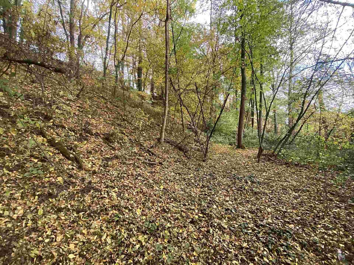 Prodej pozemku 2639 m² – fotografie 3