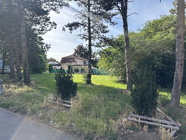 Pronájem pozemku, 1 347 m² (6 z 9)