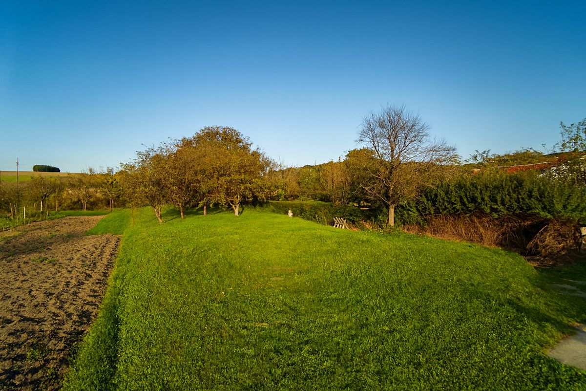 Prodej stavebního pozemku 768 m² – fotografie 5