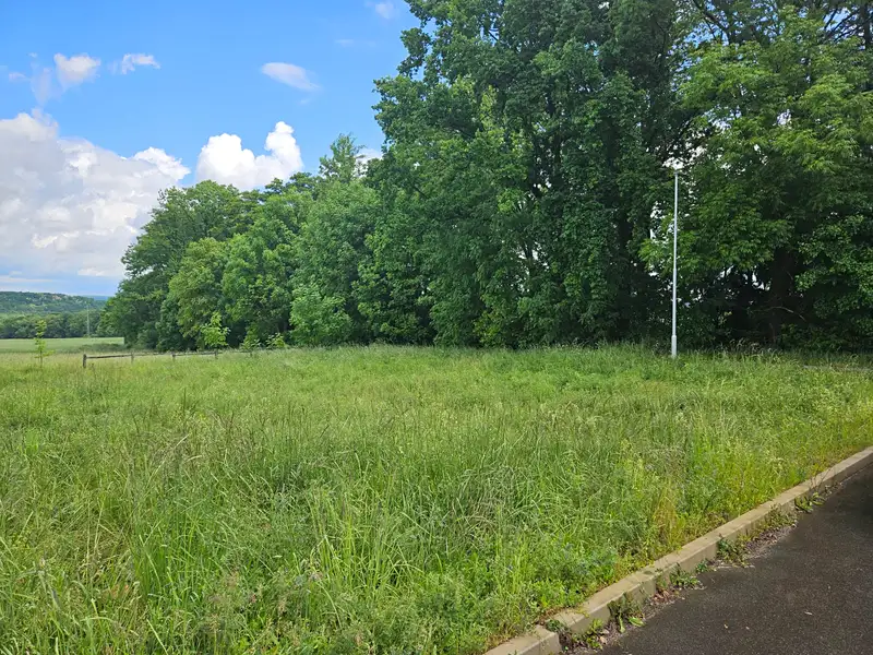 Prodej stavebního pozemku 914 m², Skuhrov – náhled fotky 2