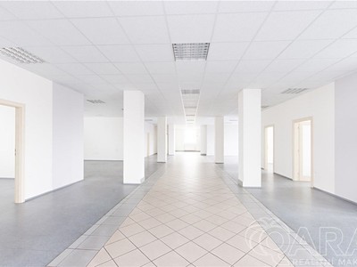Комерційне приміщення в оренду, 549 м² (3 з 30)