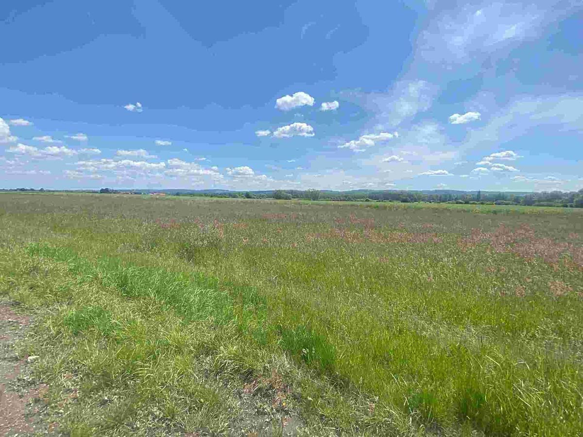 Prodej pozemku 2873 m² – fotografie 2