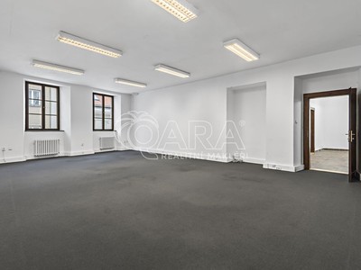Gewerbefläche zur Miete, 226 m² (3 von 11)