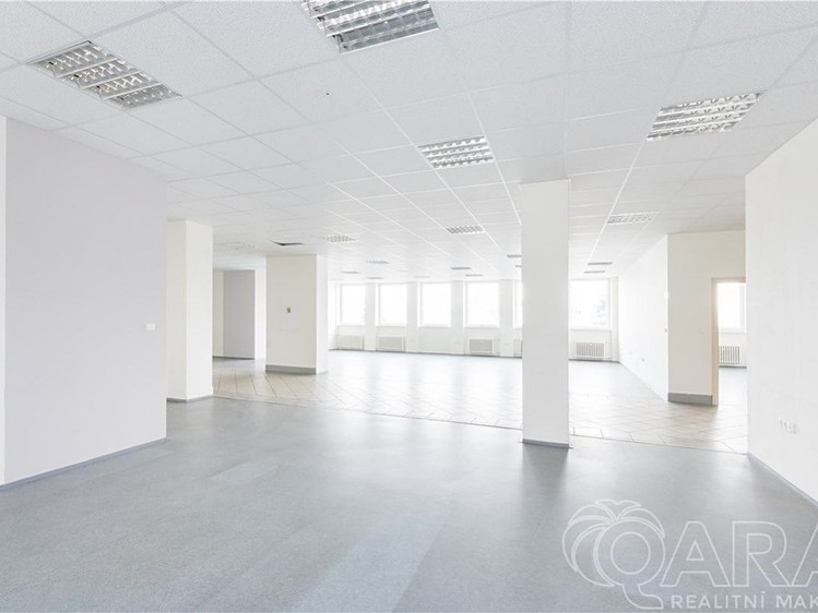 Комерційне приміщення в оренду, 549 м² (10 з 30)