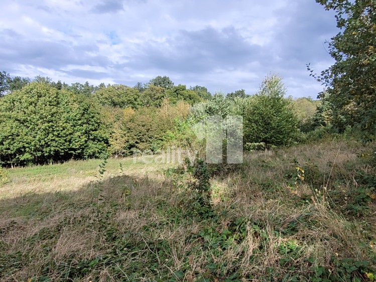 Grundstück zum Kauf, 5.935 m² (7 von 24)