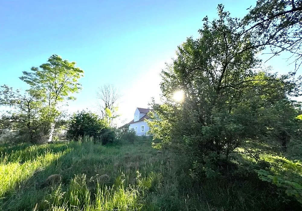 Fotka 19 z 29