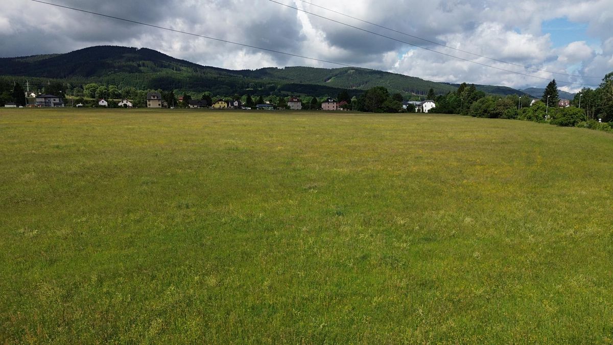 Prodej komerčního pozemku 13397 m² – fotografie 3
