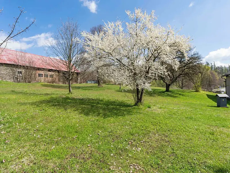 Prodej stavebního pozemku 3285 m², Václavov u Bruntálu – náhled fotky 2