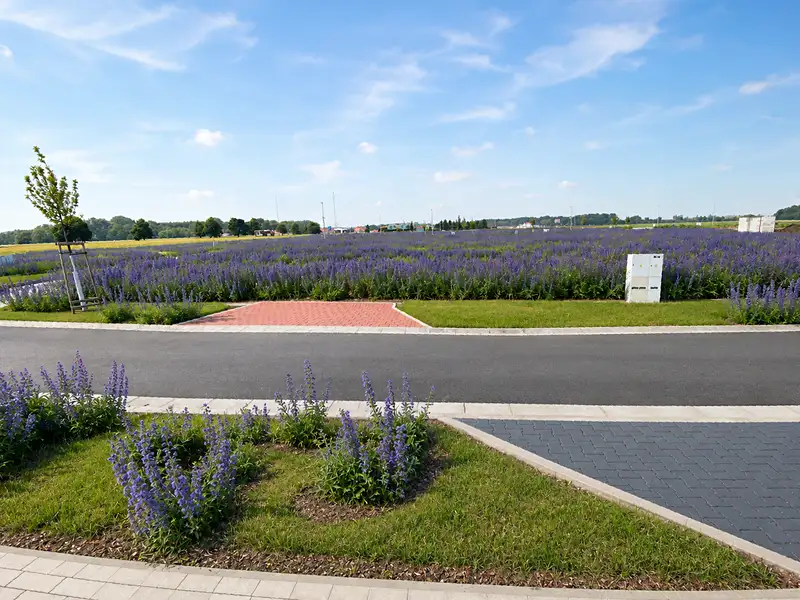 Prodej stavebního pozemku 604 m², Choťánky – náhled fotky 2