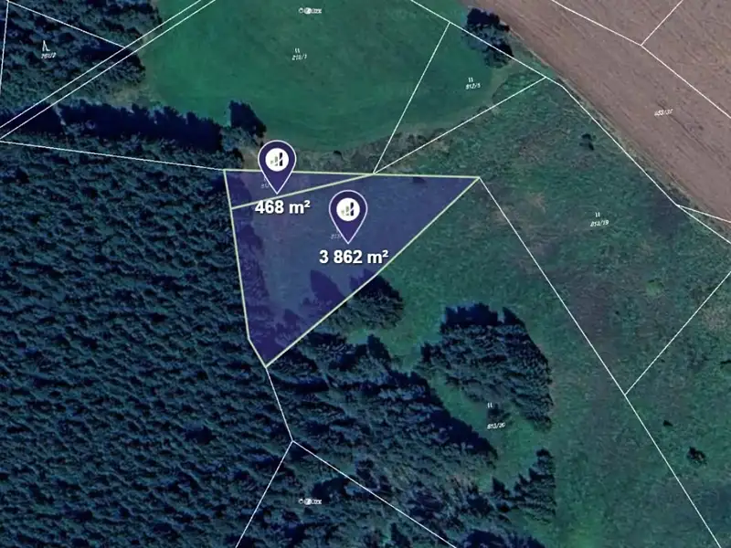 Prodej louky 4330 m², Svratka – náhled fotky 1