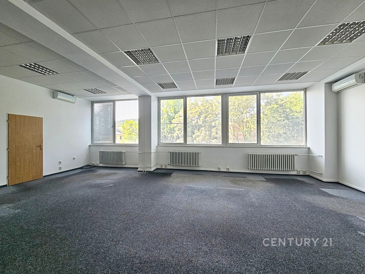Gewerbefläche zur Miete, 59 m² (4 von 11)