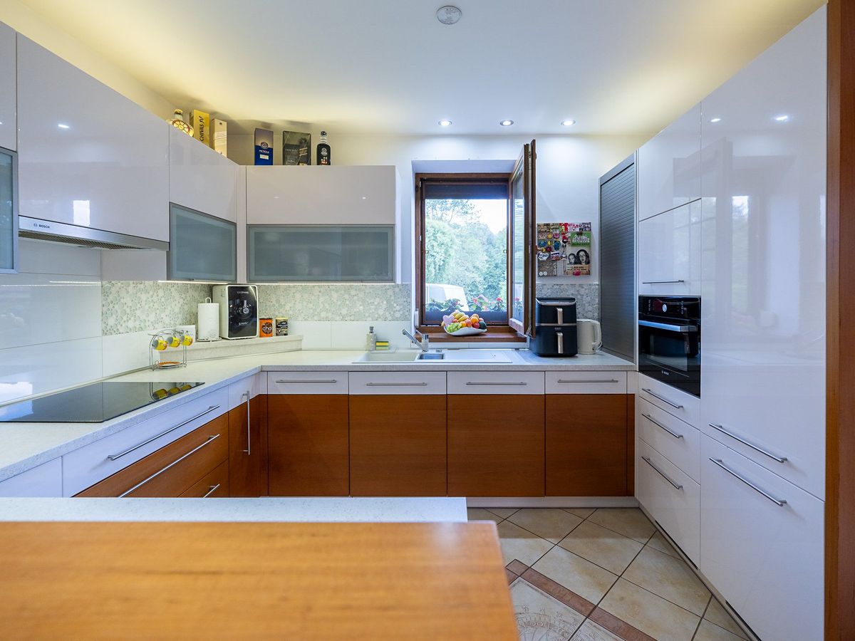 Prodej rodinného domu 250 m², pozemek 1350 m² – fotografie 4