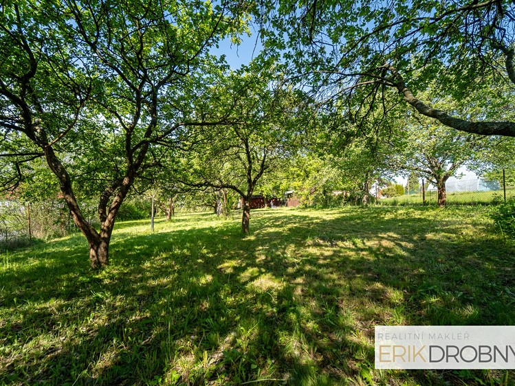 Grundstück zum Kauf, 1.269 m² (5 von 19)