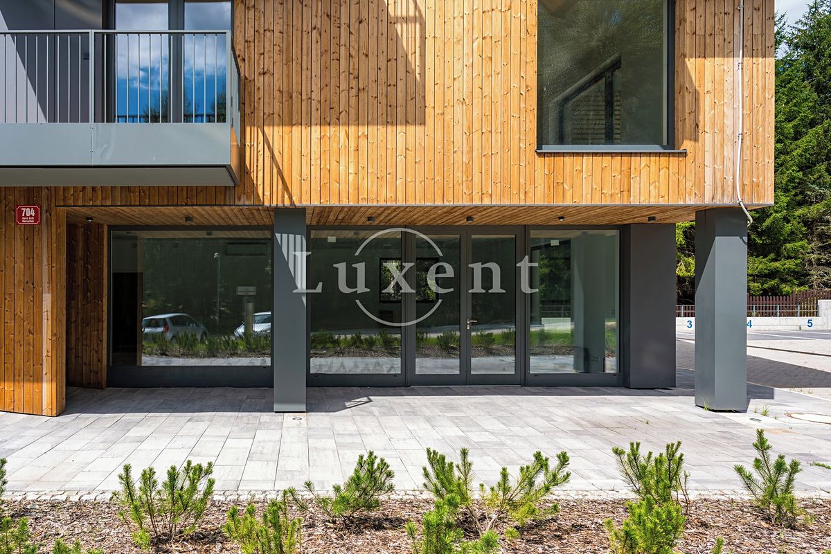 Pronájem obchodního prostoru 108 m² – fotografie 2