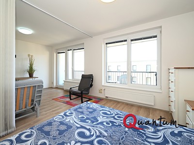 Pronájem bytu 1+kk 49 m²