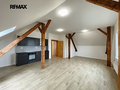 Pronájem bytu 1+kk 45 m²