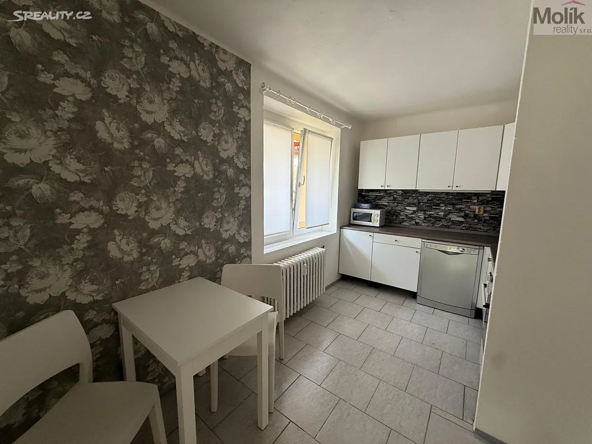 Pronájem bytu 3+1 60 m² - View 4