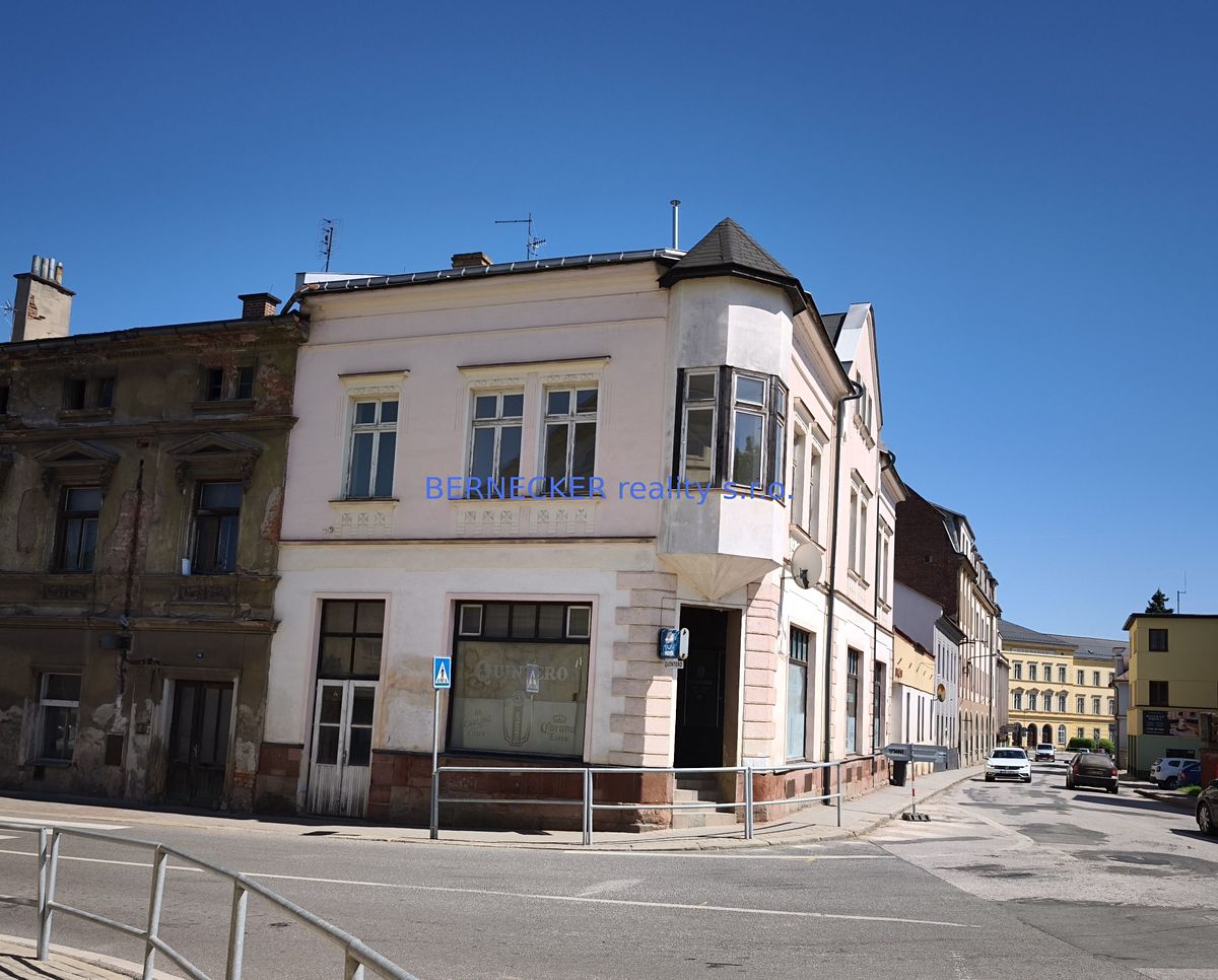 Prodej rodinného domu 450 m², pozemek 178 m² – fotografie 3