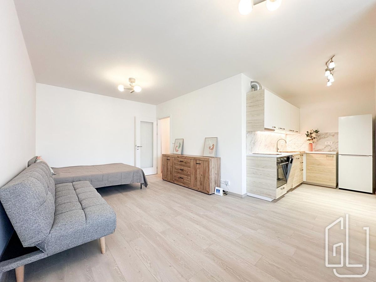 Pronájem bytu 1+kk 39 m²