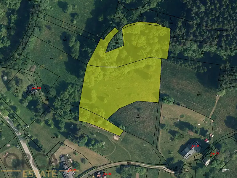 Prodej louky 8212 m², Koberovy – náhled fotky 1