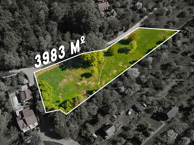 Prodej pozemku, 3 983 m² (2 z 9)